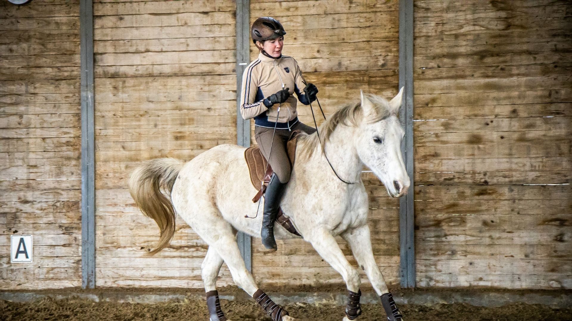 Selles western Parelli occasion à vendre | France